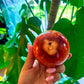 Carnelian Sphere