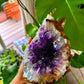 Amethyst Large Geodes