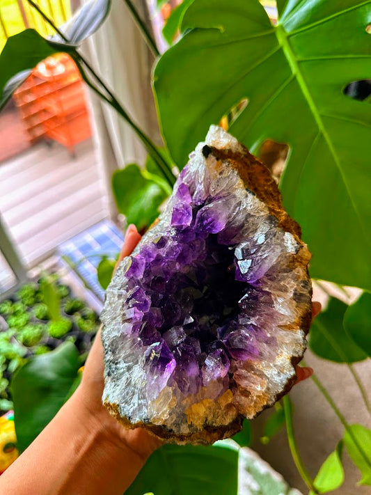 Amethyst Large Geodes