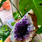 Amethyst Large Geodes