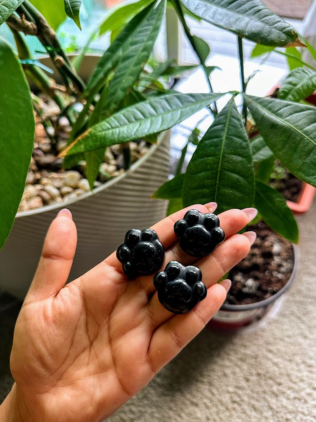 Black Obsidian Mini Paws