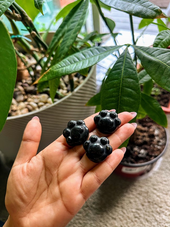 Black Obsidian Mini Paws