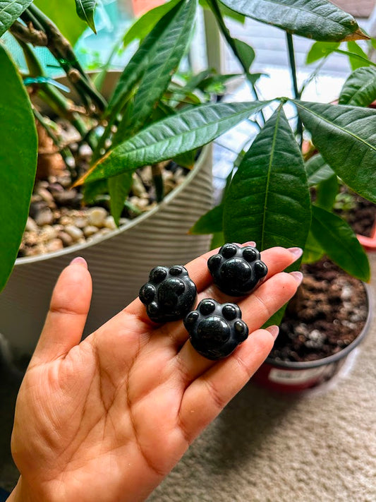 Black Obsidian Mini Paws
