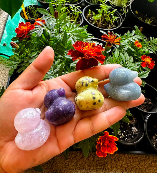 Duck Crystal Carving