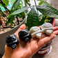Howlite Turtle Carving