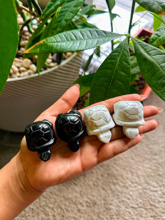 Howlite Turtle Carving