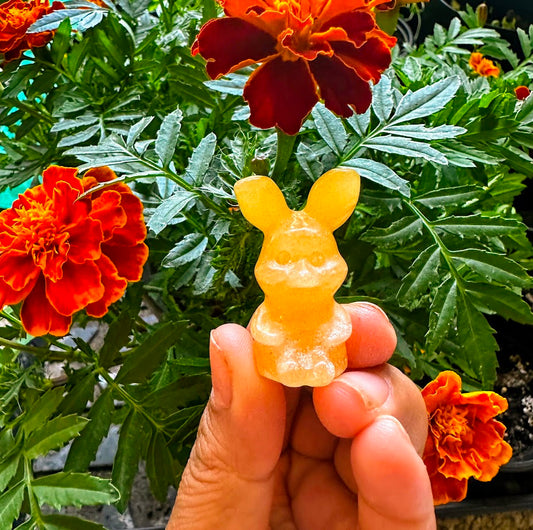 Piglet Crystal Carvings