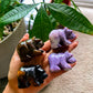 Bear Crystal Carvings -Standing on all fours
