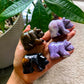 Bear Crystal Carvings -Standing on all fours