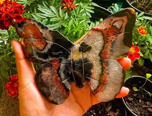 Black Onyx Butterfly Crystal Carving
