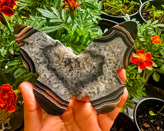 Black Onyx Butterfly Crystal Carving