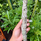 Texas Sage Herb Bundle