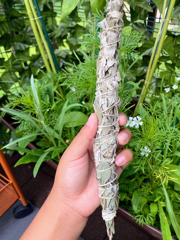 Texas Sage Herb Bundle