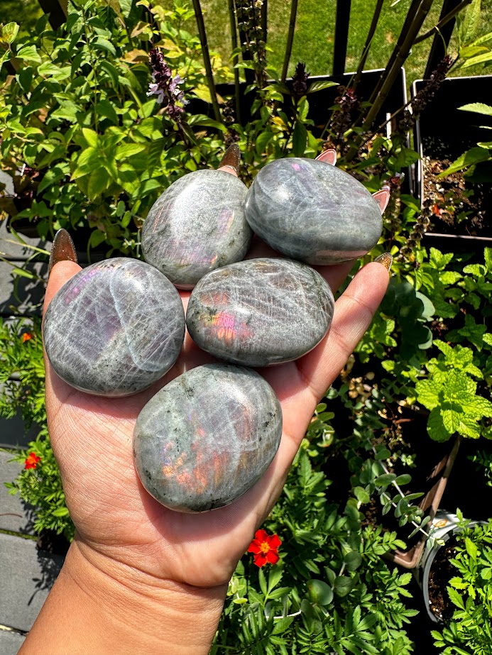 Labradorite Palmstone