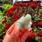 Green Aventurine Frog Animal Carving