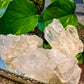 Clear Quartz Cluster
