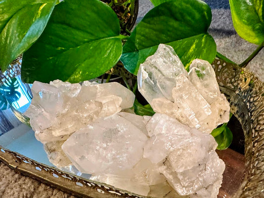 Clear Quartz Cluster