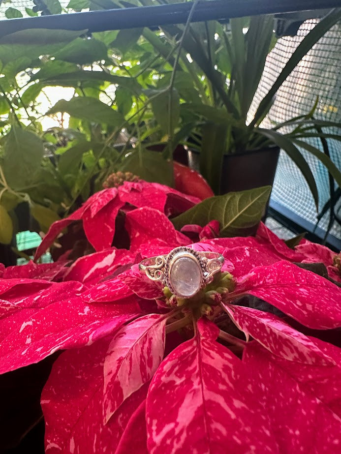 Moonstone Sterling Silver Ring Size 8