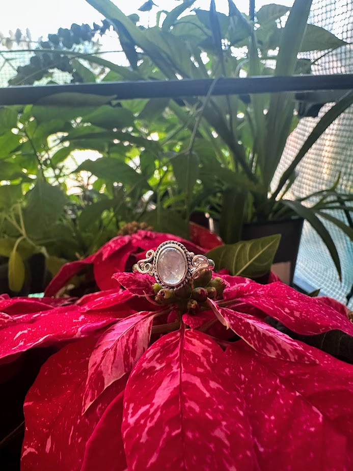 Moonstone Sterling Silver Ring Size 8