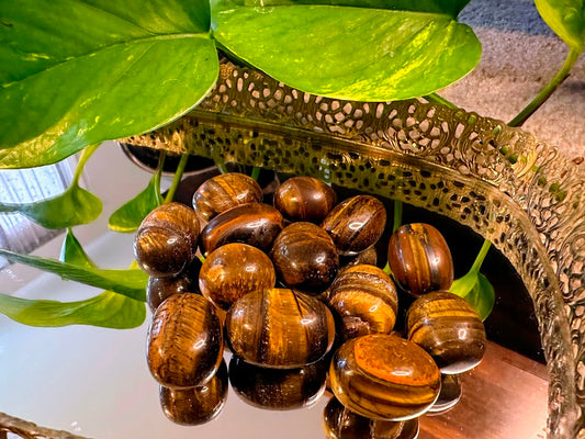 Tiger Eye Tumbles