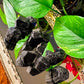 Black Tourmaline Cluster