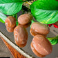 Peach Moonstone Palmstone