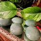 Green Aventurine Palmstone