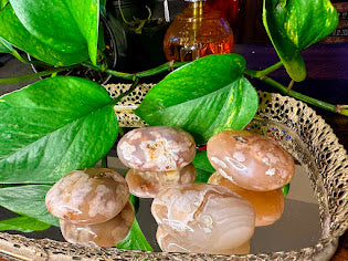 Flower Agate Palmstones