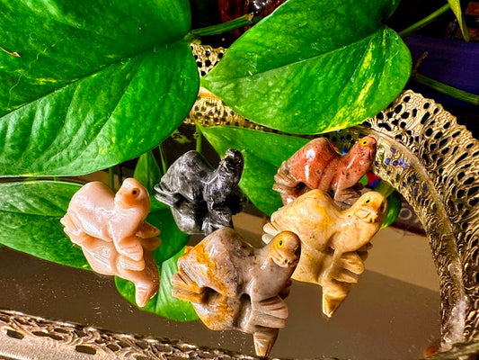 Soapstone Seal Animal Carvings