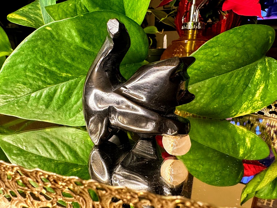 Black Obsidian Cat