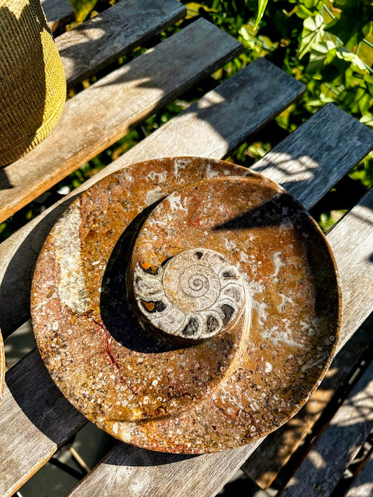 Ammonite Fossil bowls