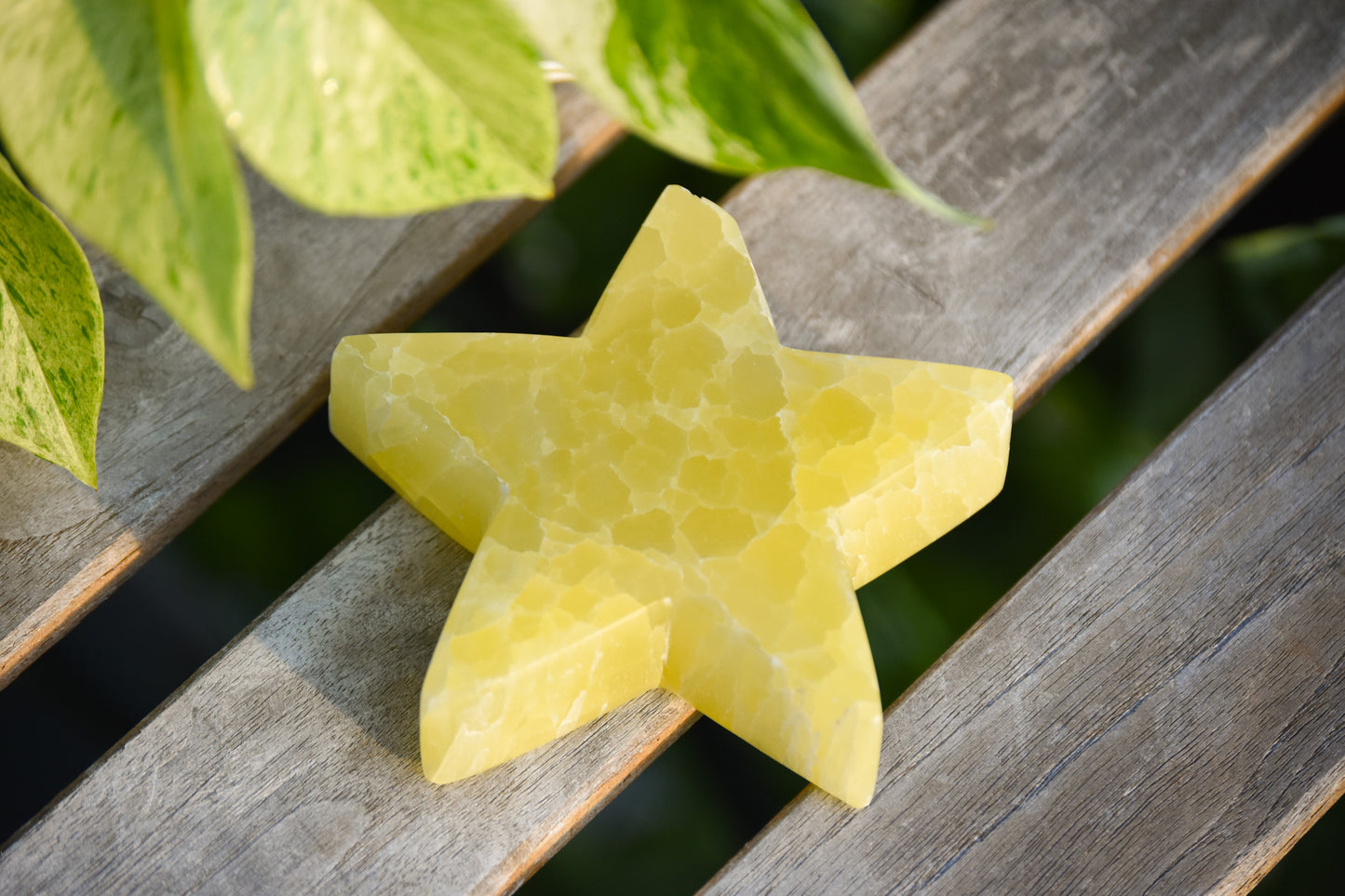 XL lemon Calcite Stars