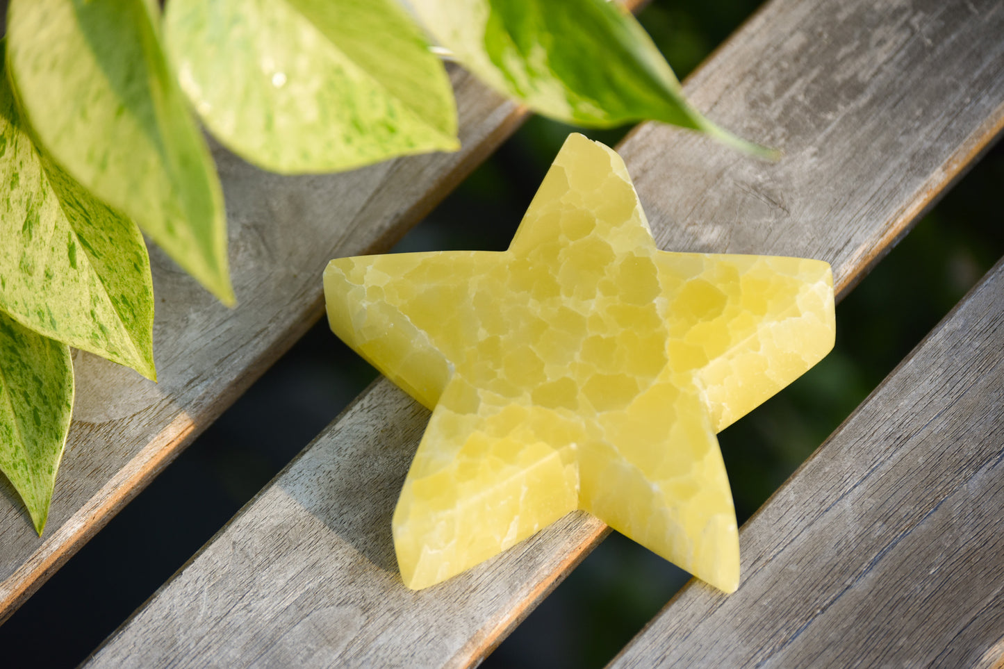 XL lemon Calcite Stars