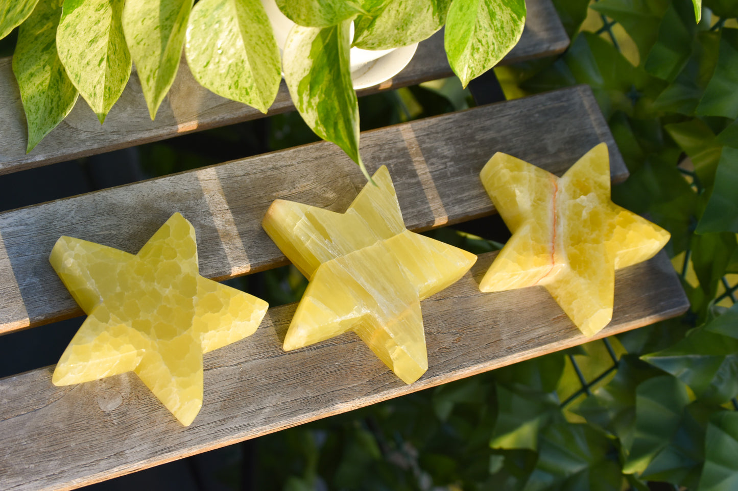 XL lemon Calcite Stars