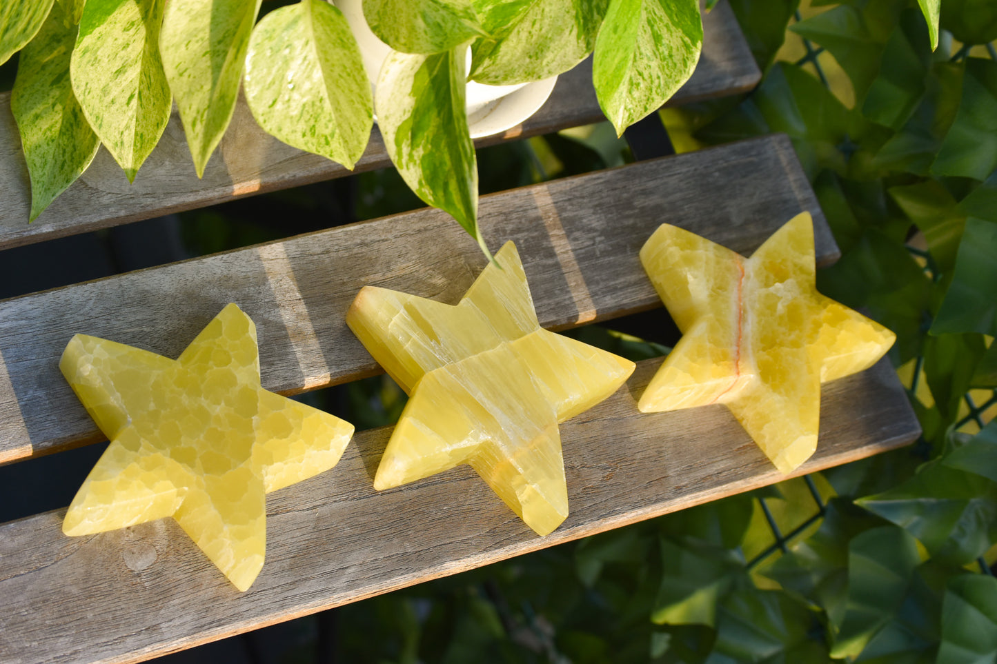 XL lemon Calcite Stars