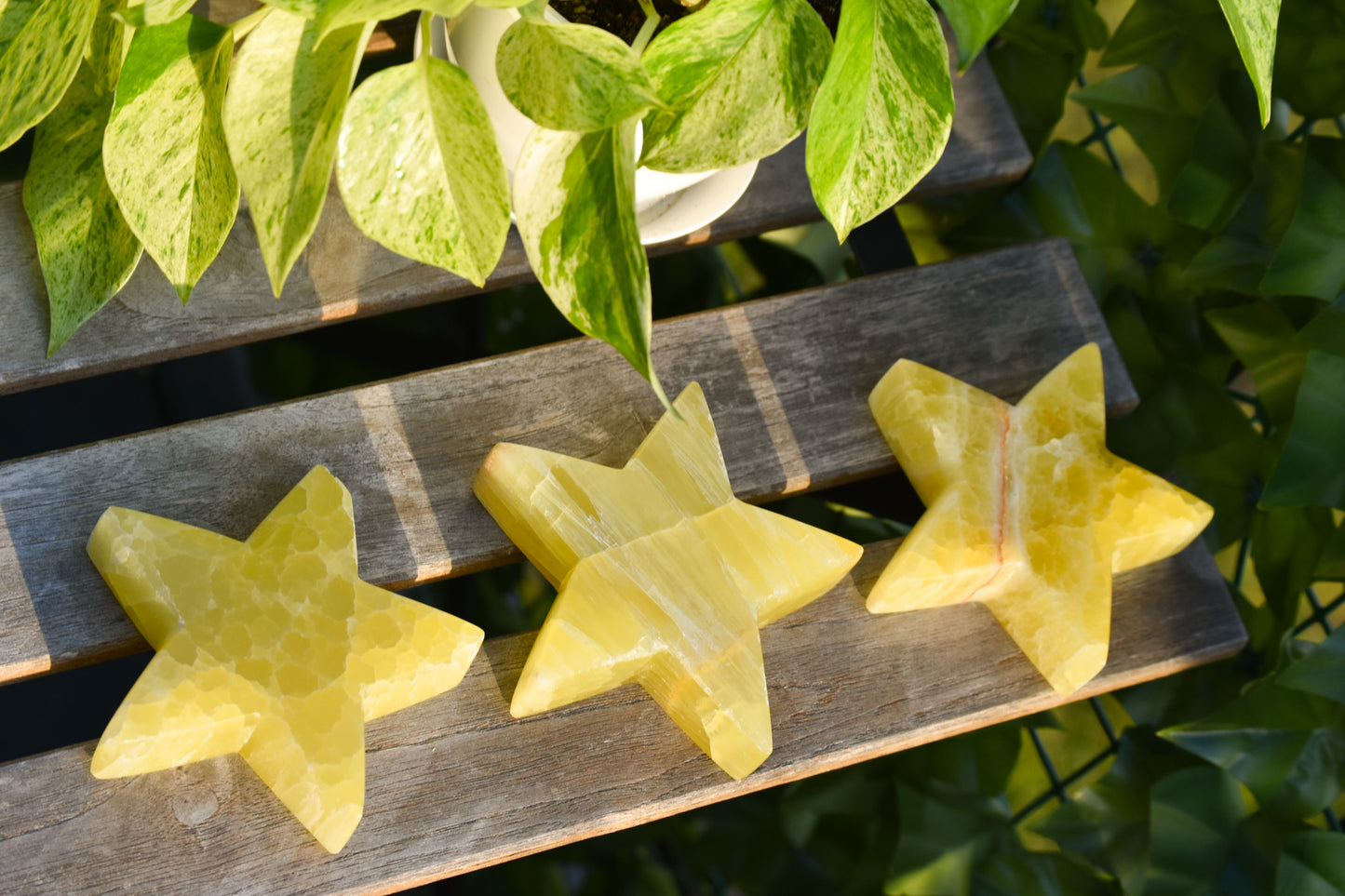 XL lemon Calcite Stars