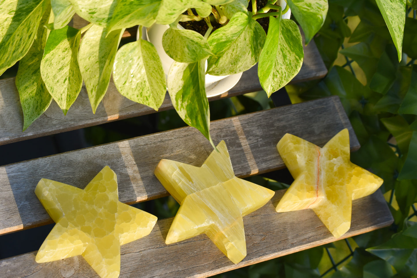 XL lemon Calcite Stars