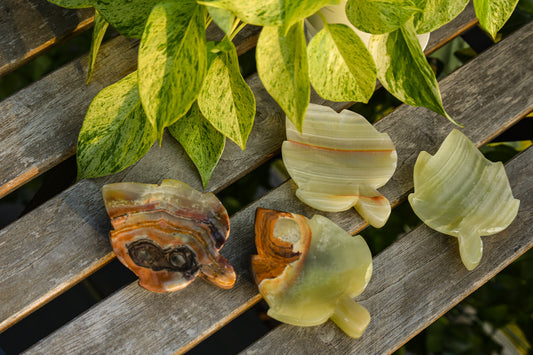 Onyx Maple bowls