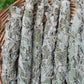 Texas Sage Herb Bundle