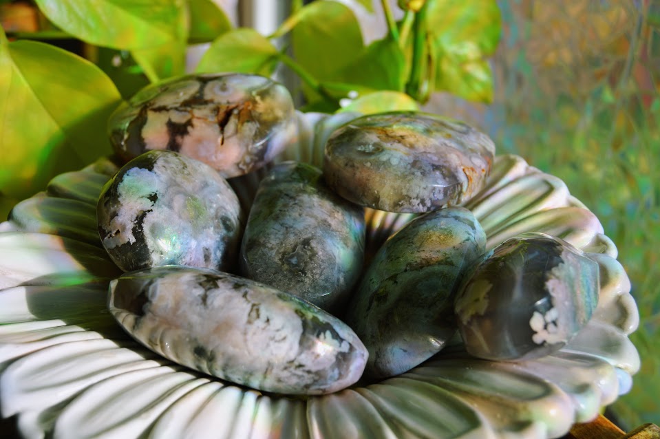 Blue Flower Agate Palmstones